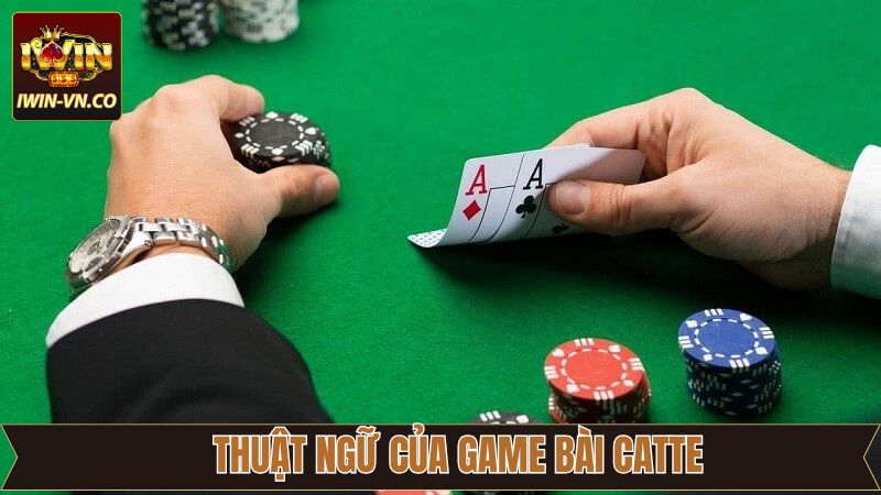 Catte - Hướng Dẫn Luật Chơi Cơ Bản Cho Hội Viên Iwin 3 Thuật ngữ quan trọng khi tham gia tại Iwin