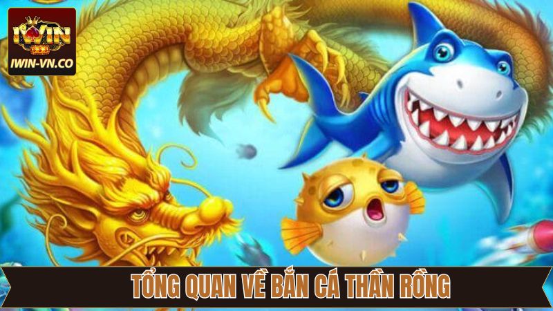 Bắn Cá Thần Rồng - Trải Nghiệm Đại Dương Huyền Bí Tại Iwin 2 Điều hấp dẫn trong bắn cá thần rồng